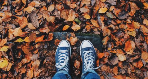 evenements et activités octobre