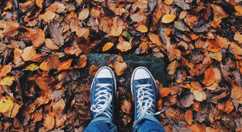 evenements et activités octobre