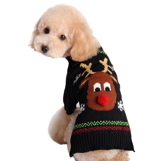 pull de noel pour chien
