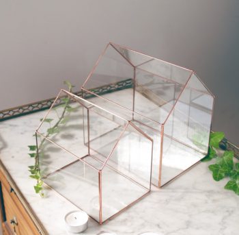 acheter-grand-terrarium-pour-faire-un-jardin-de-plantes