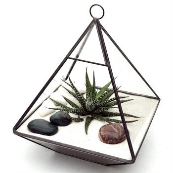 kit-terrarium-succulente-en-forme-de-pyramide-nature-et-decouverte