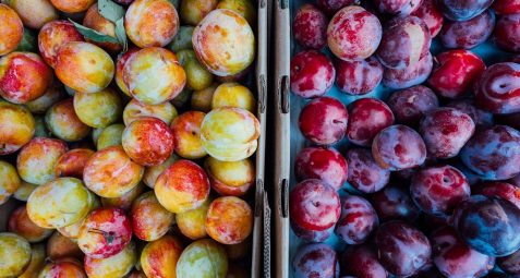Quelle-saison-fruits-et-legumes