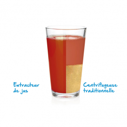 difference-extracteur-et-mixeur
