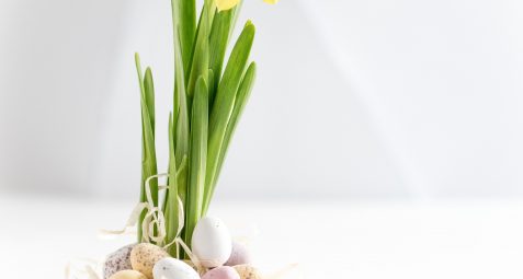 Oeuf de Pâques - toutes les astuces pour organiser Pâques en confinement